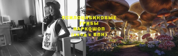 герыч Алексин